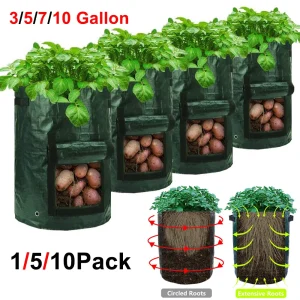 Potato Grow Bags – Thickened PE Planter for Vegetables & Gardening